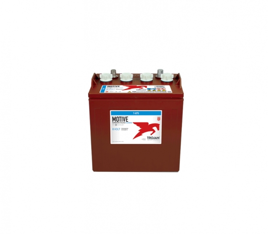 Imagem 5-t875-8v-170ah.jpg